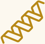 Bioavailable Plant Protein